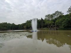 -大湾区中央湿地公园