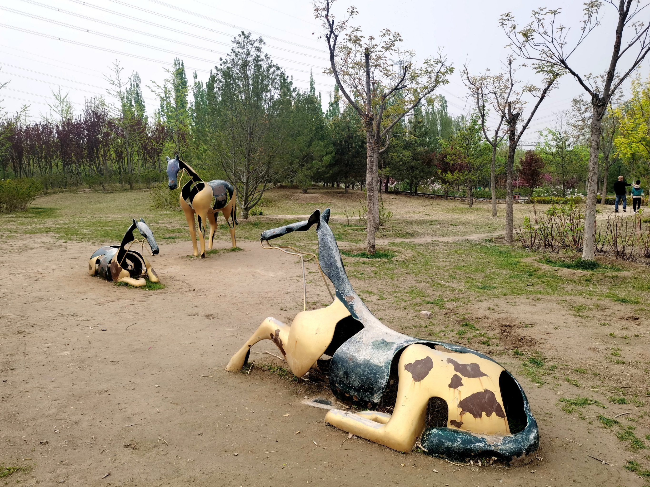 城市公园图鉴|今日实拍西小口公园