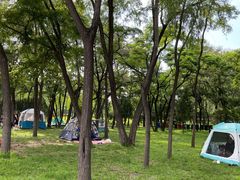 -森林公园(尖草坪区)