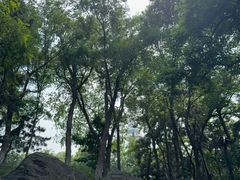 -烟台山景区