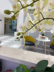 -MIVI野生眉纹绣纹眉