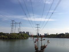 景点-昆山城市生态森林公园