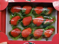 -盒马鲜生(顺义店)