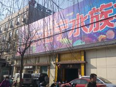 -山东柏宁水族批发广场