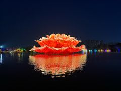 -洛阳市隋唐城遗址植物园