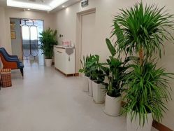 -敦南舒悦月子会所(南湖店)