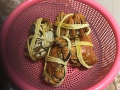 -阳澄湖大闸蟹·琼灵阁牌品牌连锁(吴中总店)