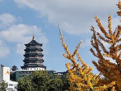 -黔灵山公园