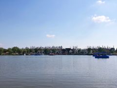 -上海长兴岛郊野公园