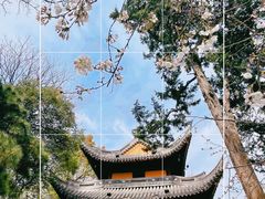 -龙华寺