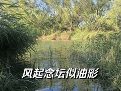 -大兴滨河森林公园