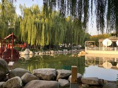 -唐城墙遗址公园