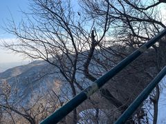 -香山公园