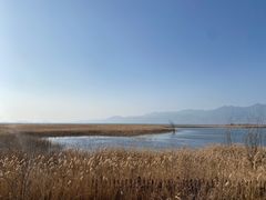 -野鸭湖国家湿地公园