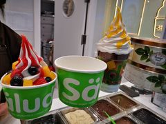 -Salud撒露欧洲冻酸奶(五道口购物中心店)