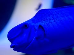 -欢乐海岸海洋奇梦馆