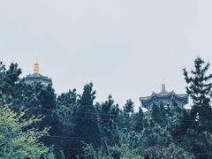 -湛山寺