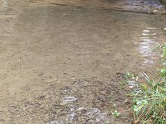 -桂林古东瀑布景区