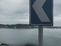 -枸杞岛