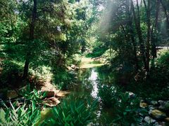 -铁山坪森林公园