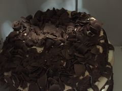 -蛋糕生活Cake Life