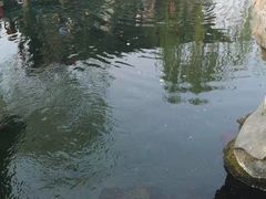 -老牌坊鲁菜名店(宽厚里店)