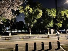 -西北湖绿化广场