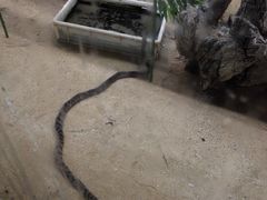 -荔城生鲜盛宴(番禺旗舰店)