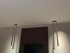 -深圳湾科技园丽雅查尔顿酒店
