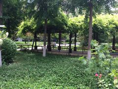 -西北大学(桃园校区)