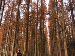-上海怡沁园度假酒店