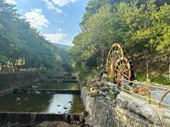 -广州白江湖森林公园