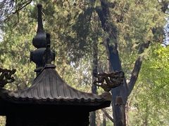 -洛阳白马寺