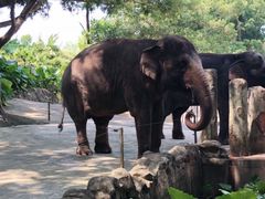 -西涌国际滨海旅游区