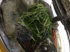 -蚝专家(北滘店)