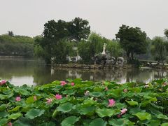 -菱湖风景区
