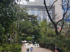 -九龙公园