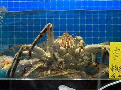 -醉壹号海鲜大排档(厦门美食地标店)