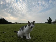 -东庄海岸高尔夫俱乐部