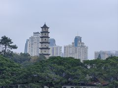 -江心屿景区
