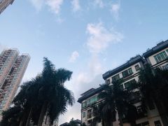 -水围村