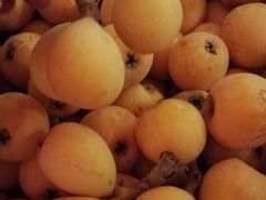 -塘栖枇杷特色园区