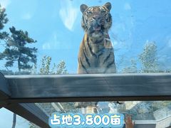 -西霞口神雕山野生动物世界