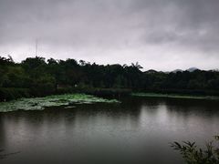 -大屏嶂森林公园
