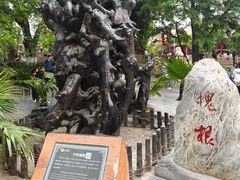 -大槐树寻根祭祖园