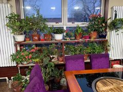 -北京龙庆四季香农家饭庄·灶台鱼·碳烤虹鳟鱼(龙庆峡店)