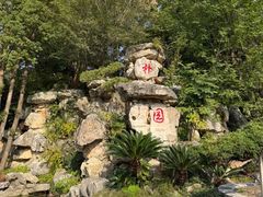 -朴园