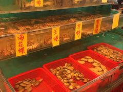 -鲜入围煮花胶鸡海鲜火锅