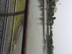 iphone_upload_pic-南翔镇银翔湖公园
