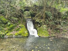-夏霖九天银瀑风景区